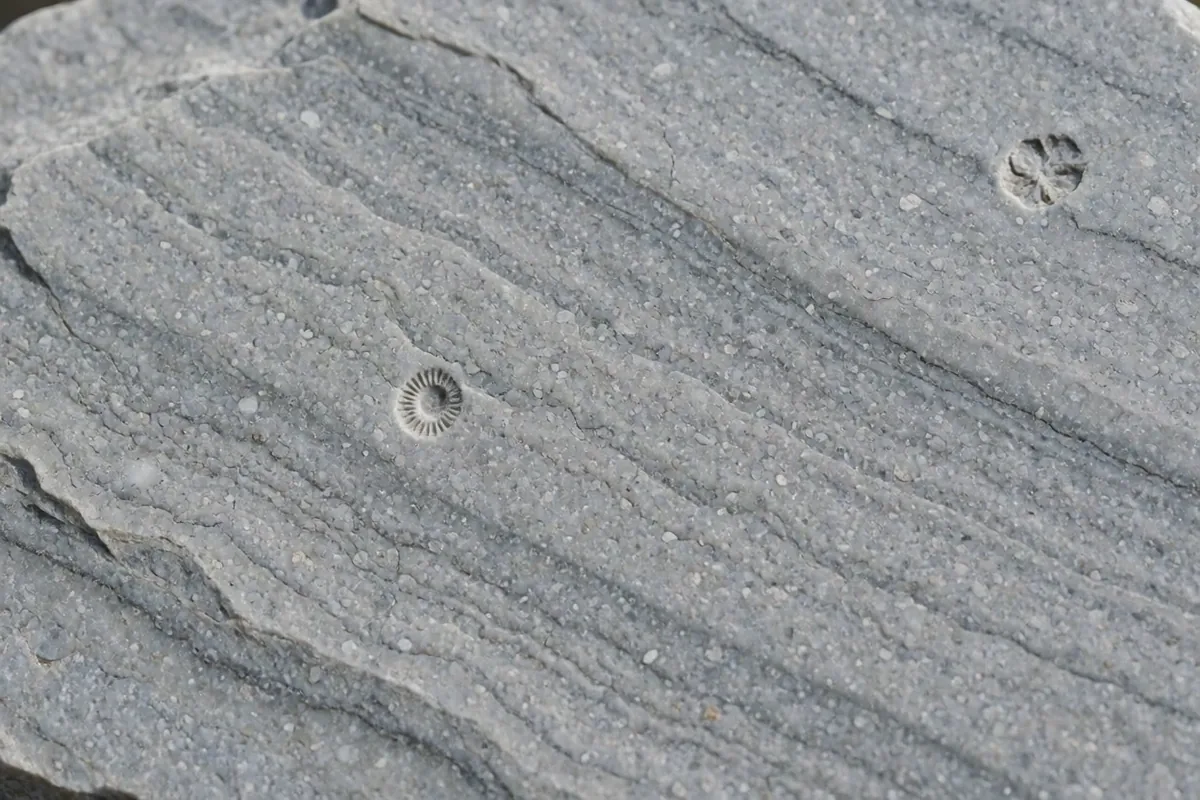 Local Nordic Limestone